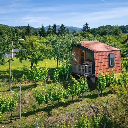 Glamping Slavica Holiday home