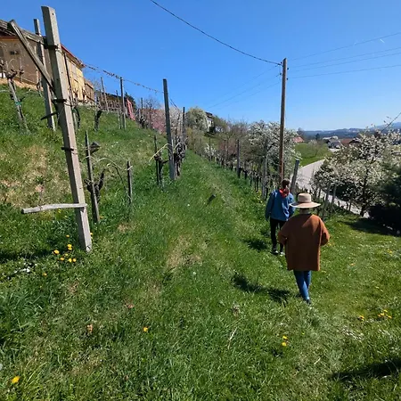 Glamping Slavica Dramlje